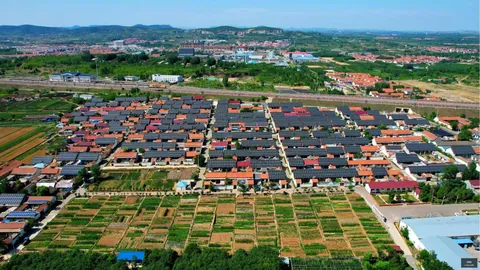 沪深股市2026指南：9月22日公告与交易攻略